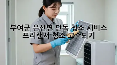부여군 은산면 단독 청소 서비스🧹✨ 프리랜서 청소 고수되기!