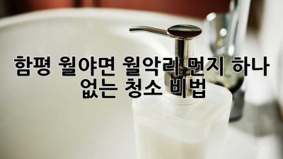 함평 월야면 월악리 먼지 하나 없는 청소 비법
